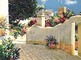 Image01